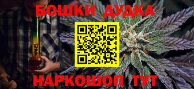 сатива Аргун