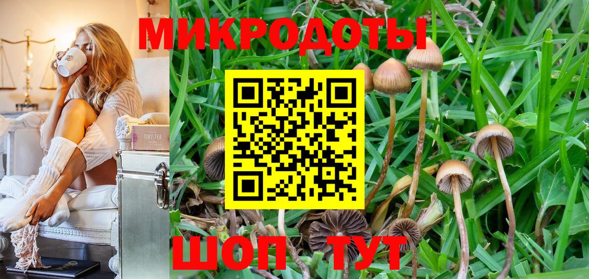 Псилоцибиновые грибы Psilocybe Верхний Уфалей